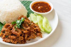 pittig gegrild varkensvlees met rijst en pikante saus op aziatische wijze foto