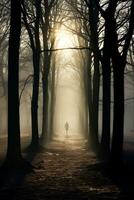een sereen silhouet van kaal bomen gieten lang schaduwen Aan een nevelig ochtend- in november foto