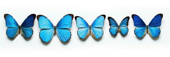 blauw tropisch vlinders geïsoleerd Aan wit achtergrond. vlinder. generatief ai foto