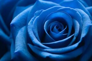 blauw roos structuur achtergrond generatief ai foto