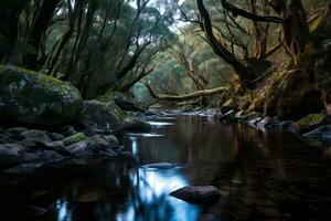 een rivier- vloeiende door een Woud met rotsen en bomen generatief ai foto