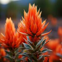 een dichtbij omhoog van oranje bloemen in de woestijn generatief ai foto