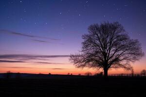 een boom in de midden- van een veld- Bij nacht generatief ai foto