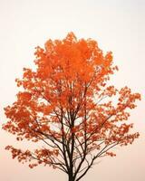 een oranje boom in de midden- van een veld- generatief ai foto