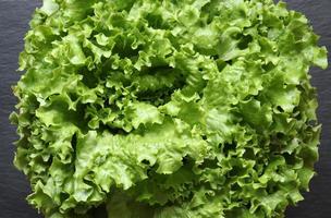batavia sla salade hoofd foto