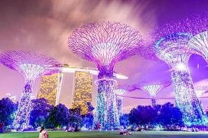 supertree grove in de tuin bij de baai in singapore foto