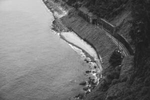 spoorweg sporen in de buurt de zee. hoog kwaliteit zwart en wit foto