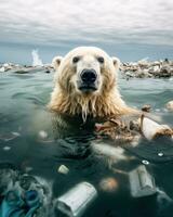 polair beer omringd door vuilnis in de arctisch foto
