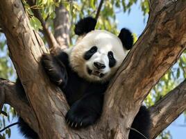 schattig panda Aan natuurlijk achtergrond foto