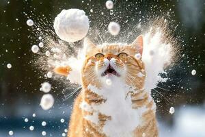 kat smakte door sneeuwbal. schattig katje met verrast en boos gezicht, raken door sneeuw gedurende sneeuw gevecht. gegenereerd ai. foto