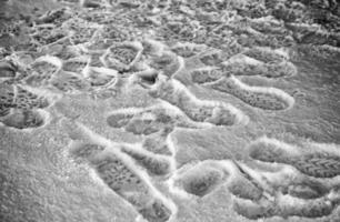 voetafdrukken in de sneeuw foto