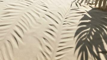plam bladeren Aan de tropisch strand zand achtergrond. vakantie en ontspanning concept met droog palm bladeren Aan de heet zomer strand. gegenereerd ai. foto