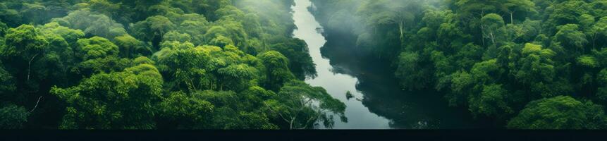 oerwoud en bergen natuurlijk achtergrond foto