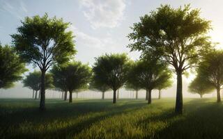 sereen voorjaar zomer oerwoud bomen milieu door nevelig stralen van licht. ai generatief foto