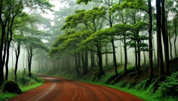 aarde weg in de groen Woud nevelig ochtend- bomen voor achtergrond gemaakt met ai generatief foto