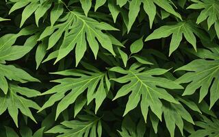 blad concept achtergrond naadloos patroon groen gebladerte van voorjaar zomer planten. ai generatief foto