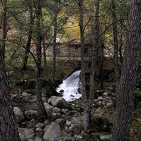 herfst-winter in de bossen van la sierra de gredos, provincie avila, castilla y leon, spanje foto