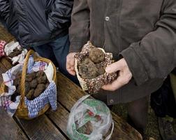 traditionele zwarte truffelmarkt van lalbenque in de perigord, frankrijk foto