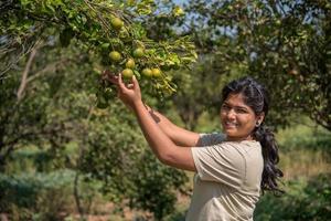 jong boerenmeisje dat zoete sinaasappels van bomen in handen houdt en onderzoekt. foto