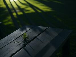 houten tafel en vervagen tropisch groen gras achtergrond, Product Scherm montage. hoog kwaliteit foto 8k fhd ai gegenereerd