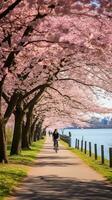 expansief lente park tafereel gevulde met bloeiend kers bloesems en gezondheidsbewust individuen ai generatief foto