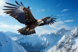 majestueus adelaar stijgend bovenstaand een onschuldig, met sneeuw bedekt berg reeks onder een blauw lucht ai generatief foto