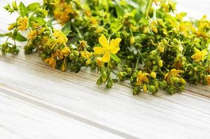 gele sint-janskruid bloemen op witte houten achtergrond. wilde bloem. foto