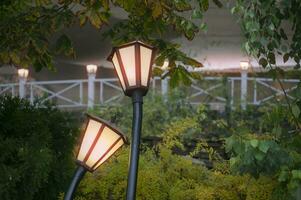 twee lichtgevend straat lampen in een gebogen land vorm geven aan. foto