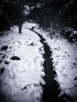vrouw die sneeuw loopt