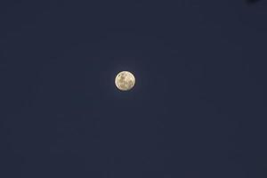 Braziliaanse volle maan. foto