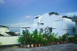 lucht tuin Aan privaat op het dak van condominium of hotel, hoog stijgen architectuur gebouw met boom foto