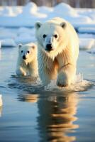 polair bears jacht- in ijzig voorwaarden presentatie van dieren in het wild aanpassing voor overleving foto