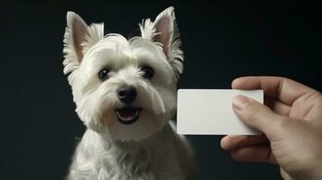 professioneel hond en eigenaar duo presenteren een blanco wit kaart. ai gegenereerd foto