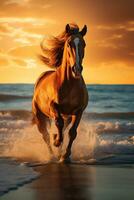 dynamisch beeld van een paard galopperen aan de overkant een zanderig strand tegen een verbijsterend zonsondergang ai generatief foto