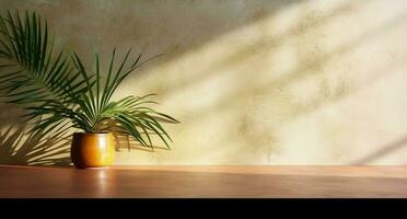 palm boom in vaas in een zonlicht, cement muur en vloer, natuurlijk schaduwen ontwerp, voor luxe interieur ontwerp decoratie, Product Scherm achtergrond. ai generatief foto