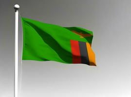 Zambia nationaal vlag golvend Aan grijs achtergrond foto