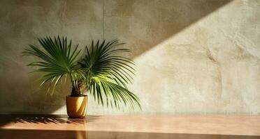 grijs cement muur en vloer, palm boom in vaas in een zonlicht, schaduw, zonnestralen effect van venster, voor luxe interieur ontwerp decoratie, Product Scherm achtergrond. ai generatief foto
