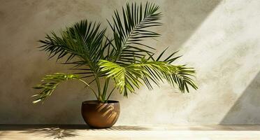 bruin cement muur en vloer, palm boom in vaas in een zonlicht, lang schaduw voor luxe interieur ontwerp decoratie, Product Scherm achtergrond, ai generatief foto