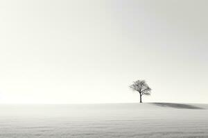 belichamen eenzaamheid - monochromatisch beeld van een eenzaam boom gieten schaduwen tegen een strak wit achtergrond ai generatief foto