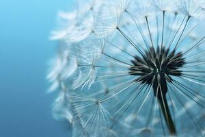 dichtbij omhoog van paardebloem Aan de blauw achtergrond. generatief ai foto