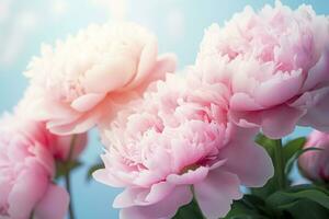 mooi roze groot bloemen pioenen Aan een licht blauw turkoois achtergrond. generatief ai foto