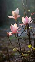 wild magnolia na regen in de Woud ai gegenereerd beeld foto