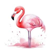 waterverf roze flamingo geïsoleerd foto