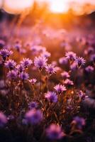 ai generatief een veld- van Purper bloemen met de zon in de achtergrond foto