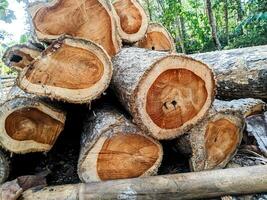 gemakkelijk hout stapel achtergrond foto