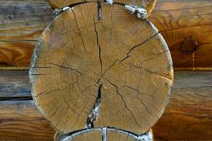 foto van boom log log huis bruin bouw