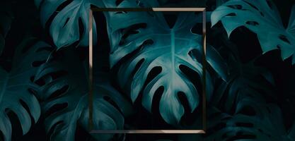 kader en bladeren spathiphyllum cannifolium concept groen abstract structuur met kader natuur achtergrond tropisch bladeren in Azië en Thailand 3d illustratie foto