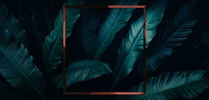 kader en bladeren spathiphyllum cannifolium concept groen abstract structuur met kader natuur achtergrond tropisch bladeren in Azië en Thailand 3d illustratie foto