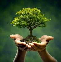 kind hand- Holding boom fabriek in milieu groen concept voorraad foto 3390818, natuur voorraad foto