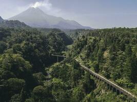 antenne dar visie van een brug in de midden- van Woud in plunjon, yogakarta, Indonesië foto